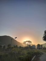 A serene landscape at dawn with a solitary figure reading poetry aloud.