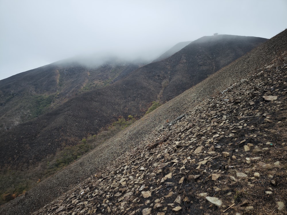 a rocky hill with a few trees on it