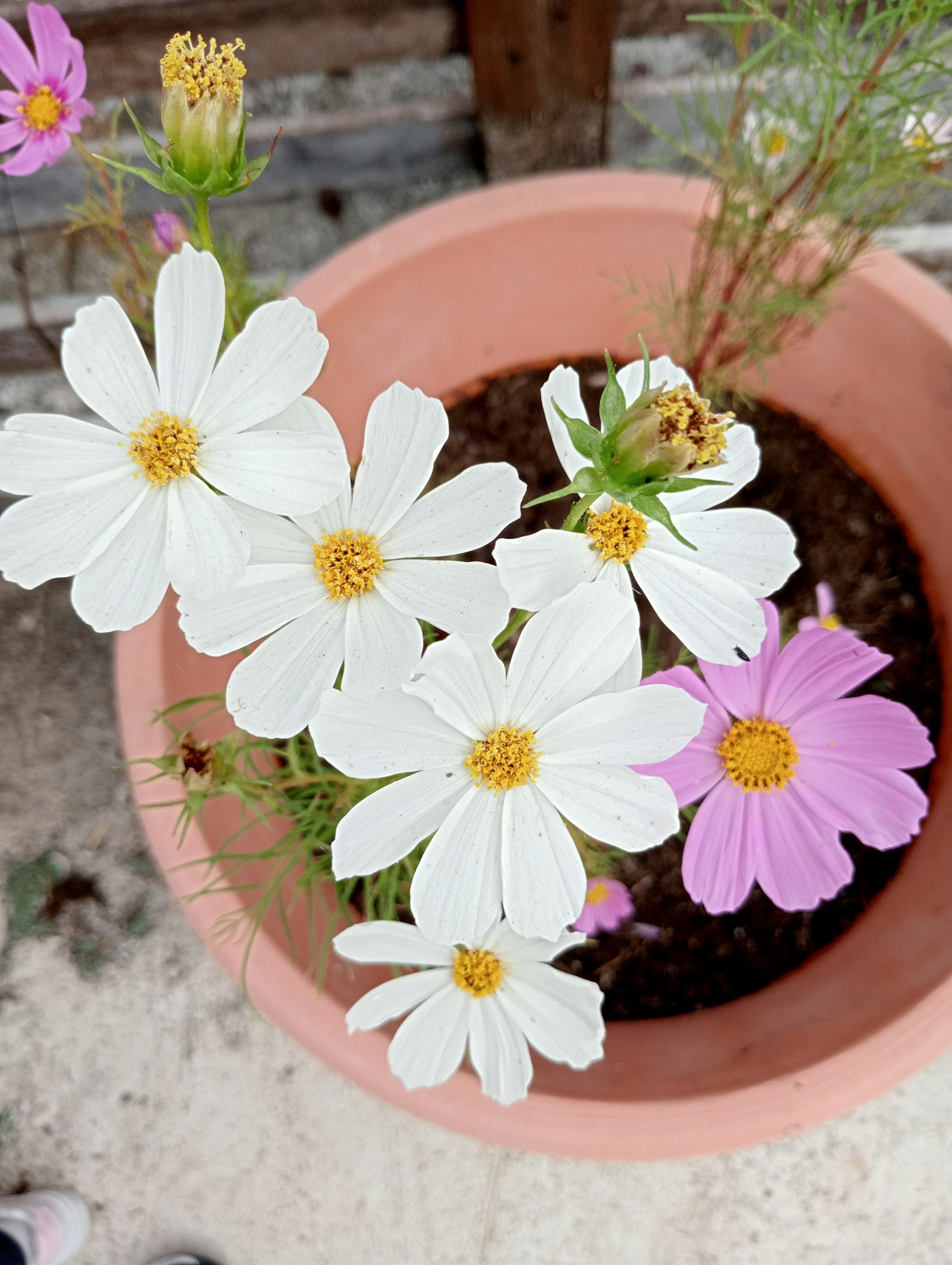 woman wearing yellow long-sleeved dress under white clouds and blue sky during daytime