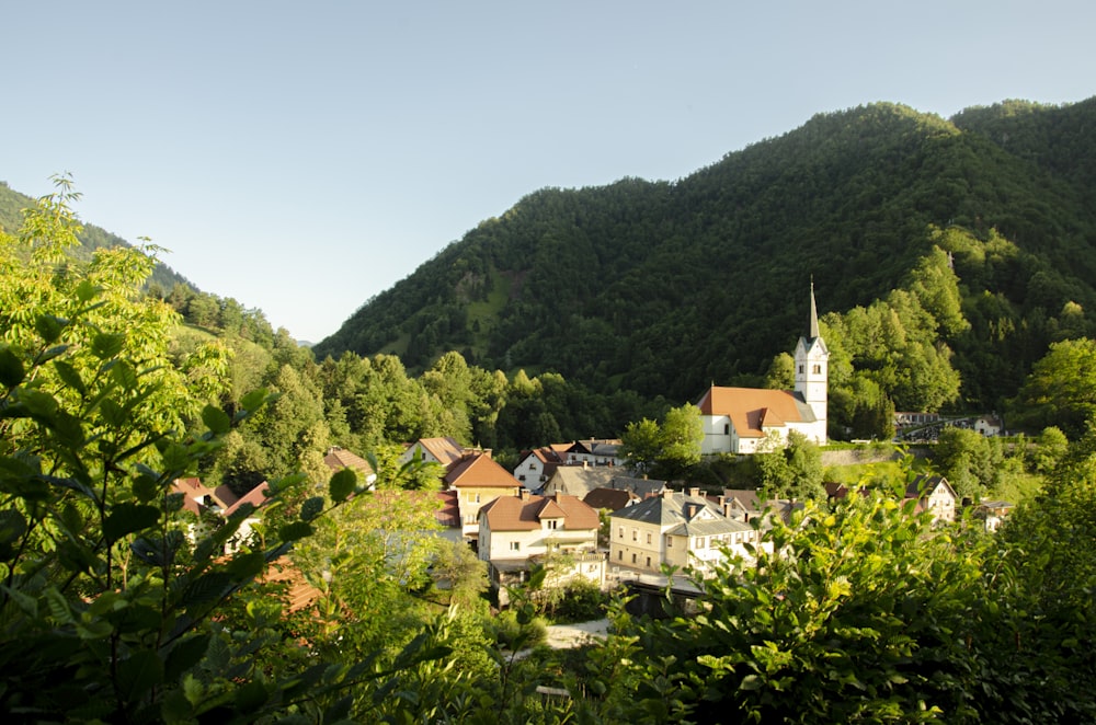 a small village nestled in the middle of a forest