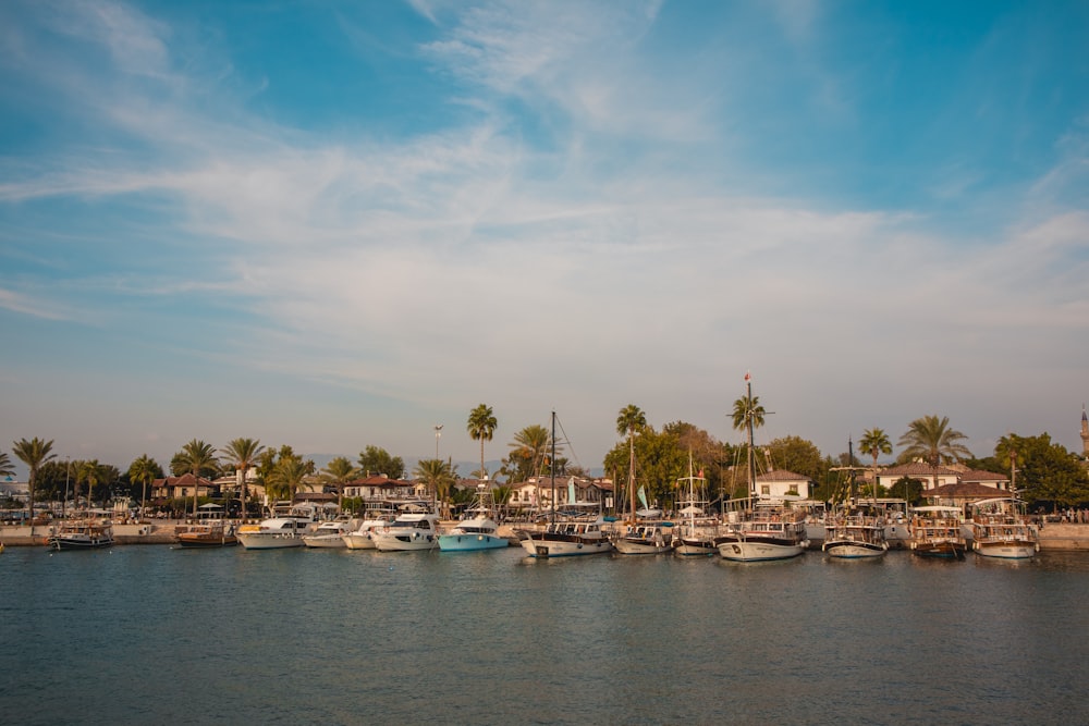 Ein Hafen voller Boote unter blauem Himmel