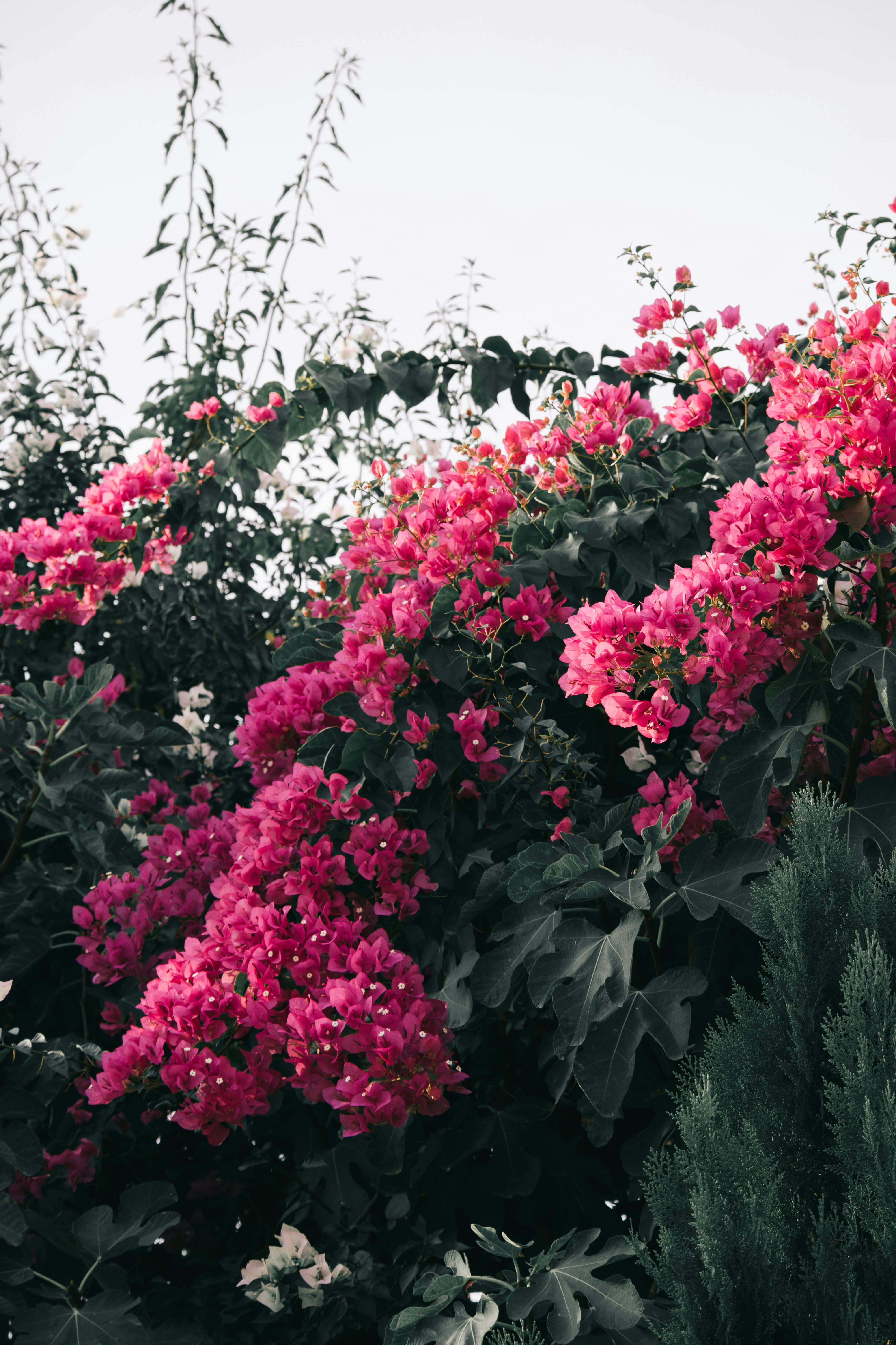 Photo by kubliz