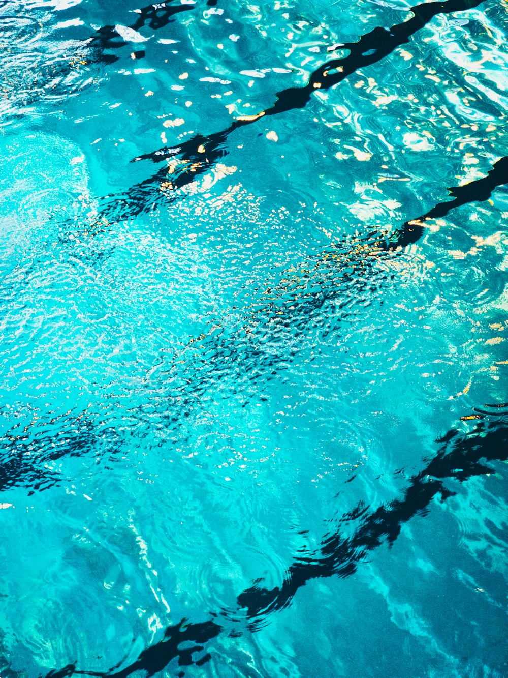 a person swimming in a pool with a board