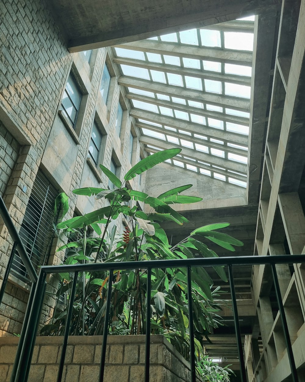 a plant in a planter on a balcony