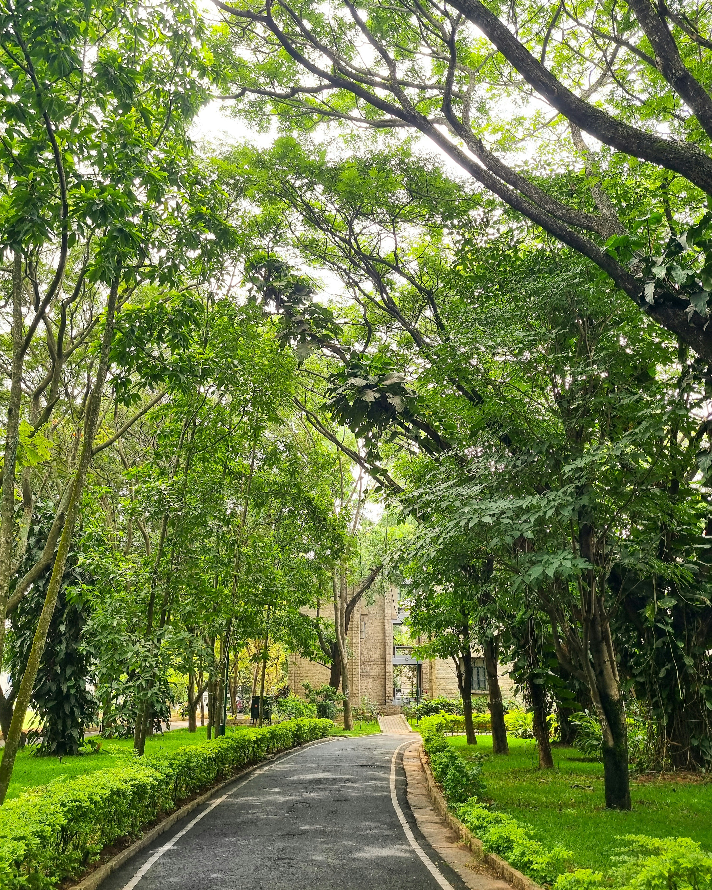 Photo by bhataku