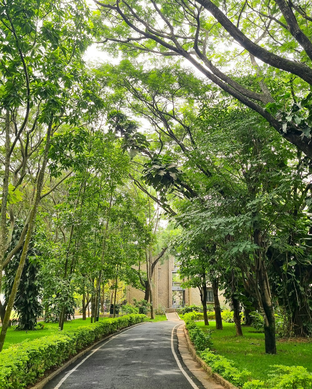 a road that is surrounded by trees and grass