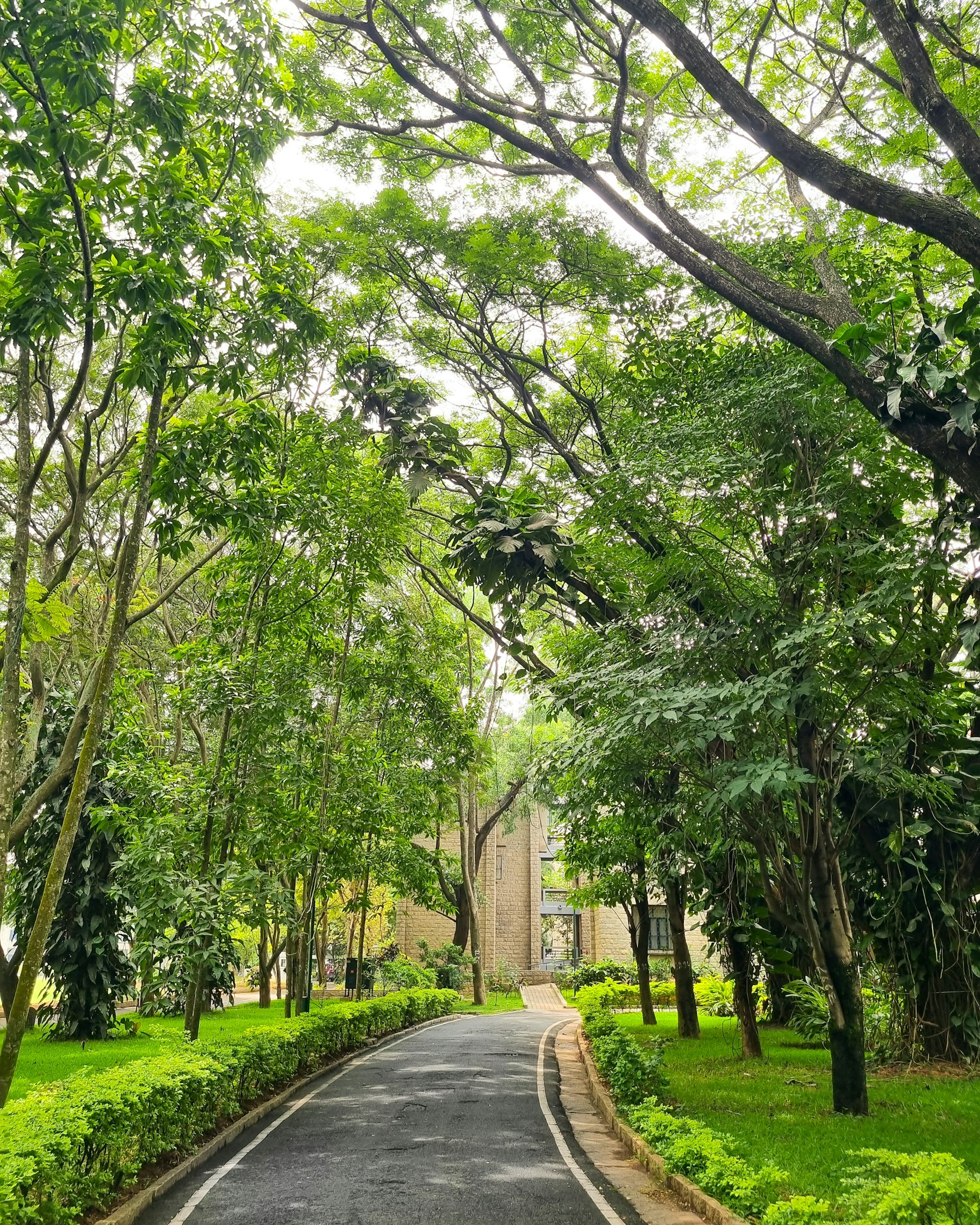 Bannerghatta Road plots