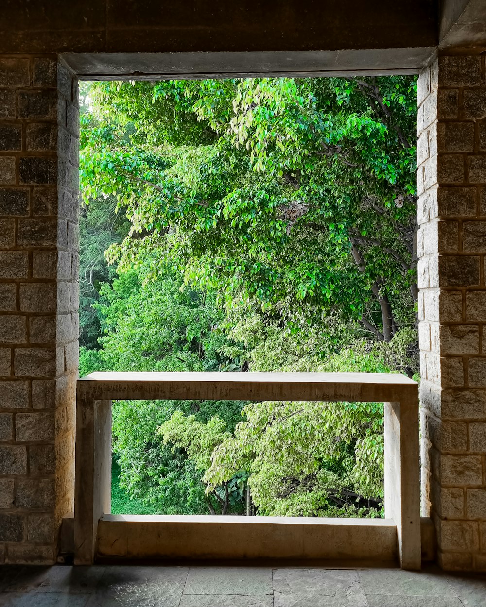 an open window with a view of a forest