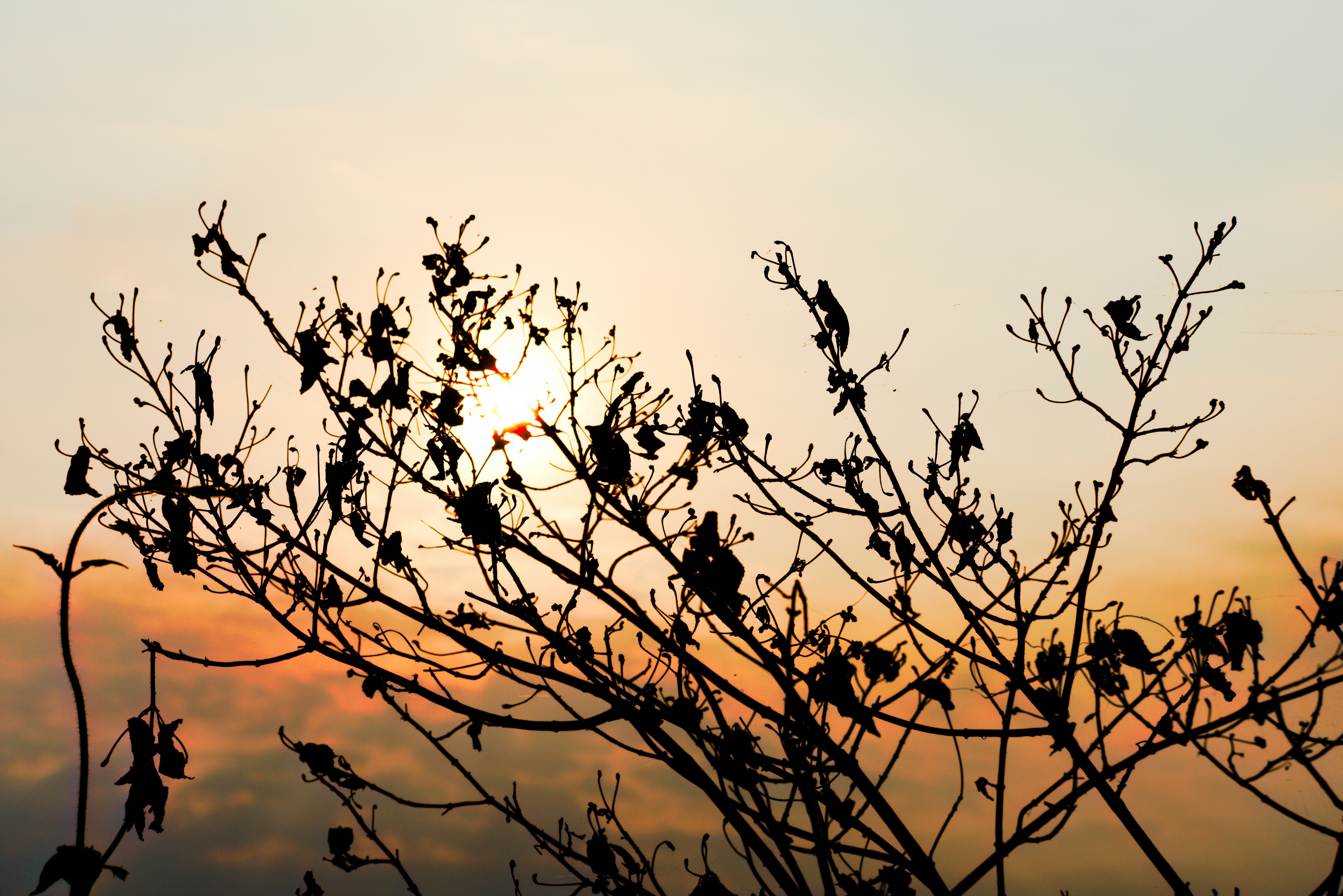 Photo by avinaash_ponnada