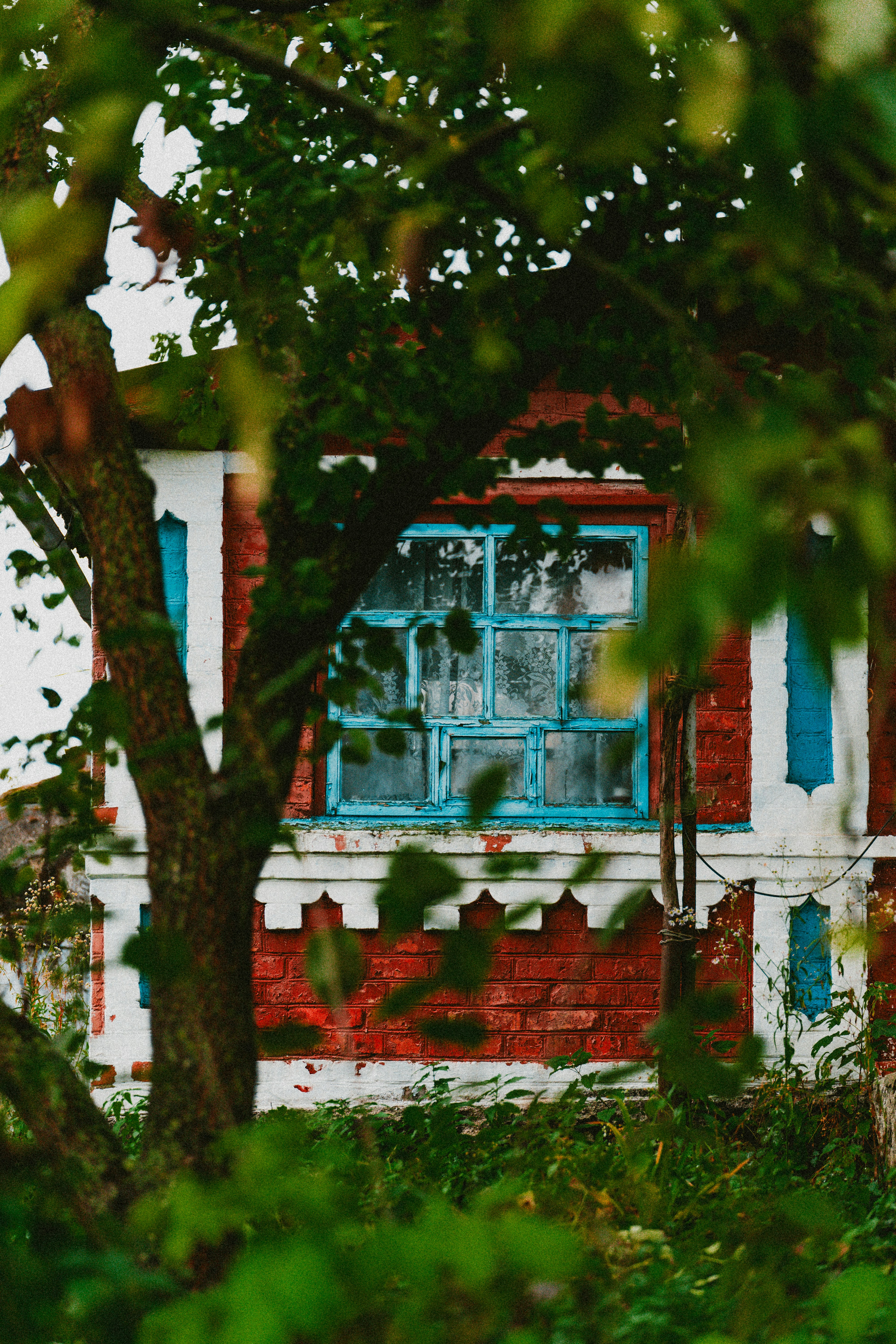 Photo by khodzinskyi