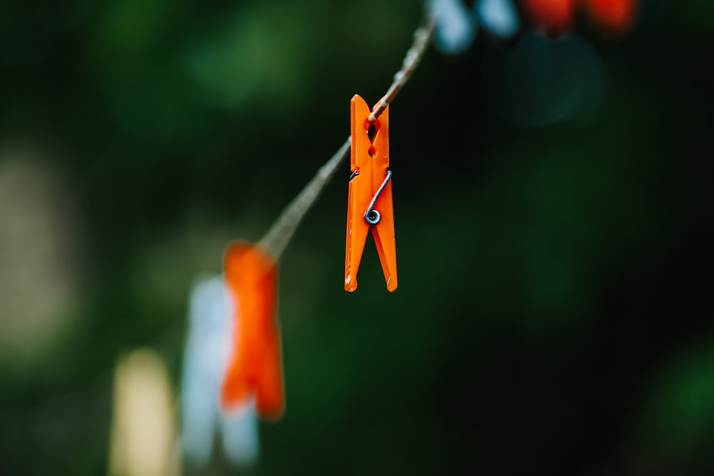 a pair of orange scissors hanging from a line