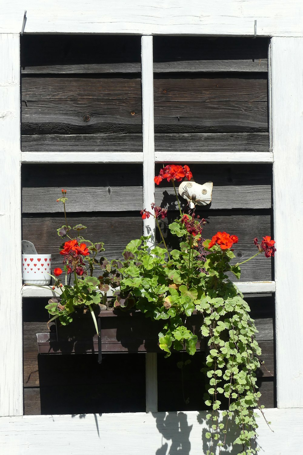 a window with a bunch of flowers in it