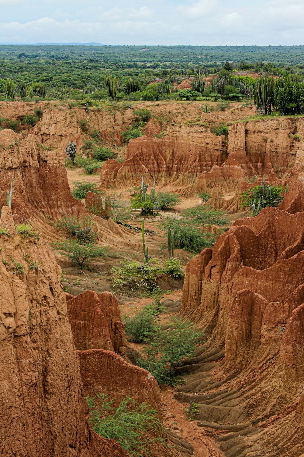 a group of people standing on top of a dirt hill