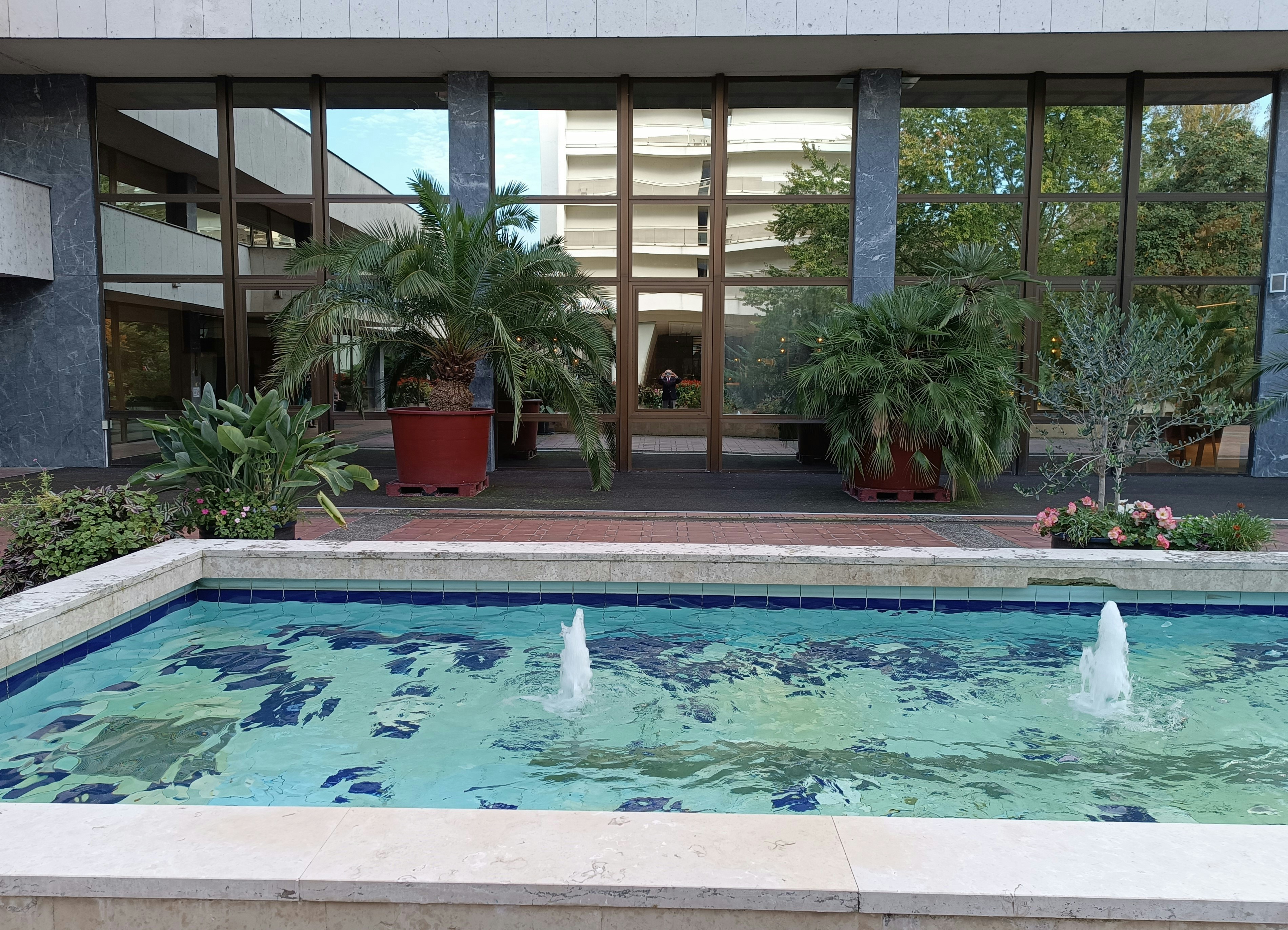 Photo by oxganggreen