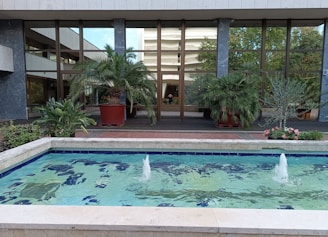 A tranquil outdoor space with plants and a water feature for relaxation.