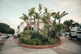 A custom landscaped corner with a mix of shrubs and flowering plants.