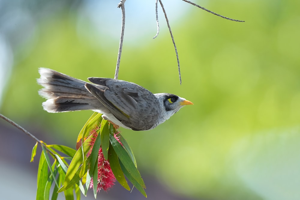 a small bird perched on top of a tree branch