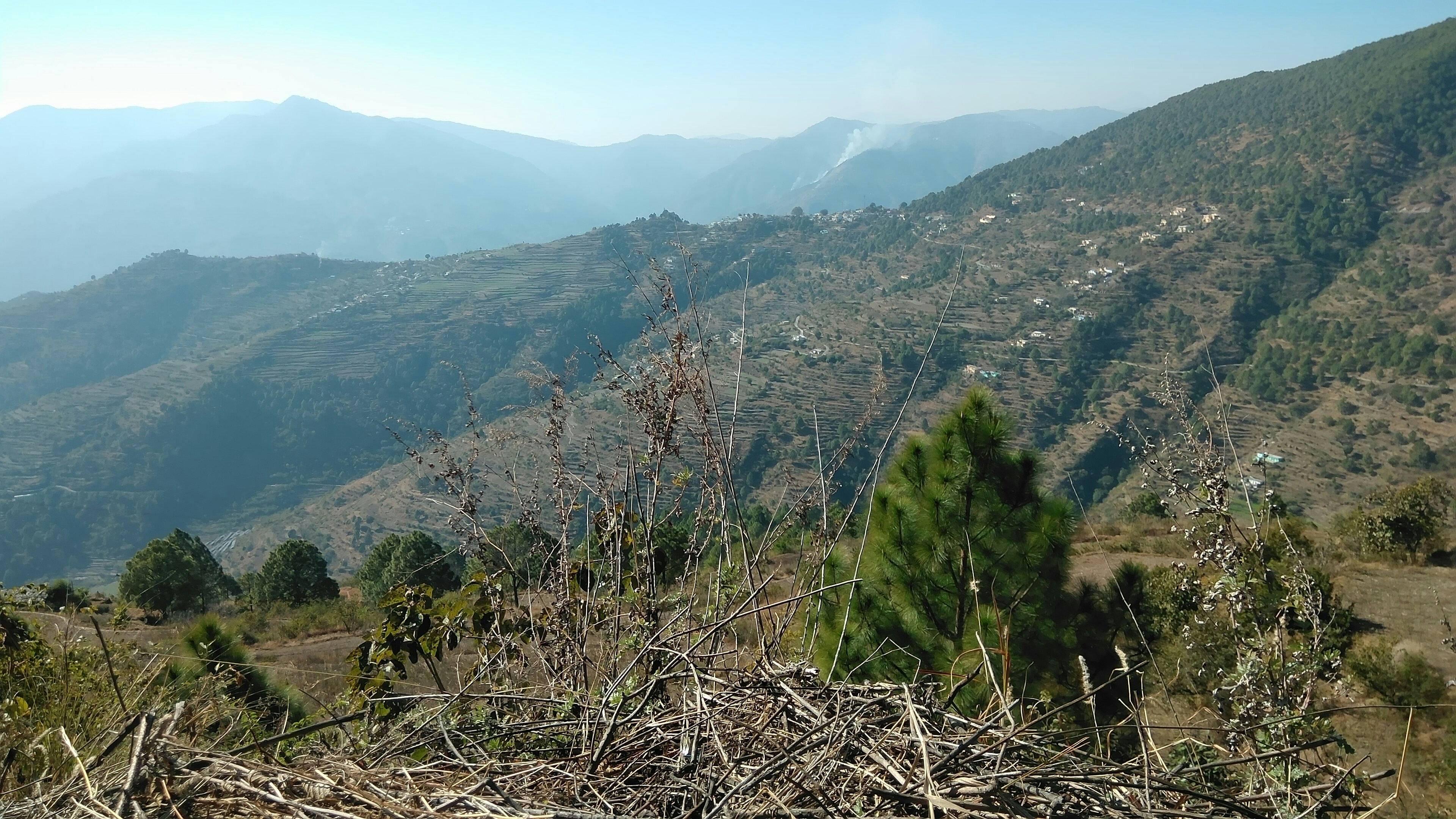 Uttarakhand, India - None