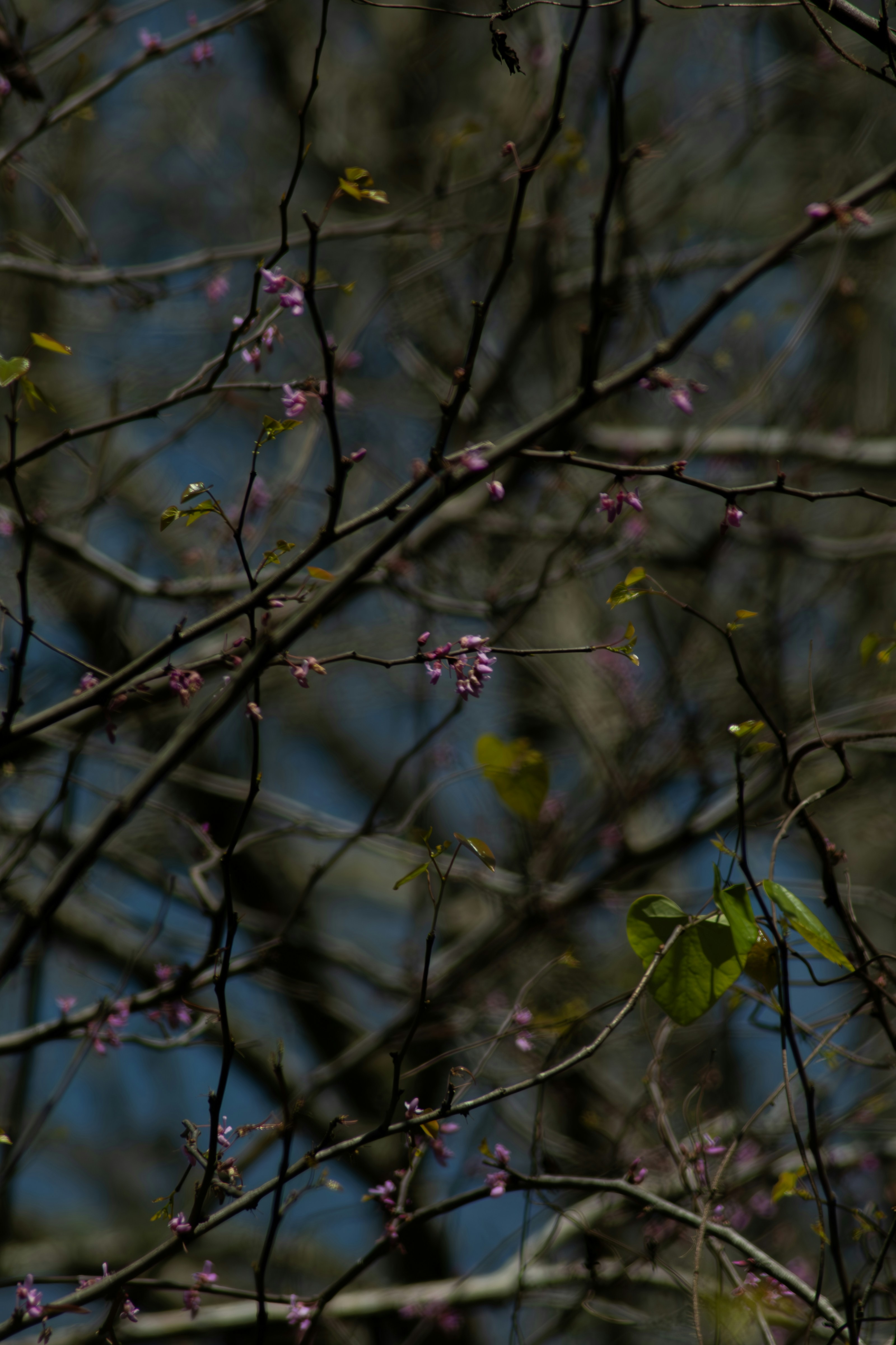 Photo by astro_civil