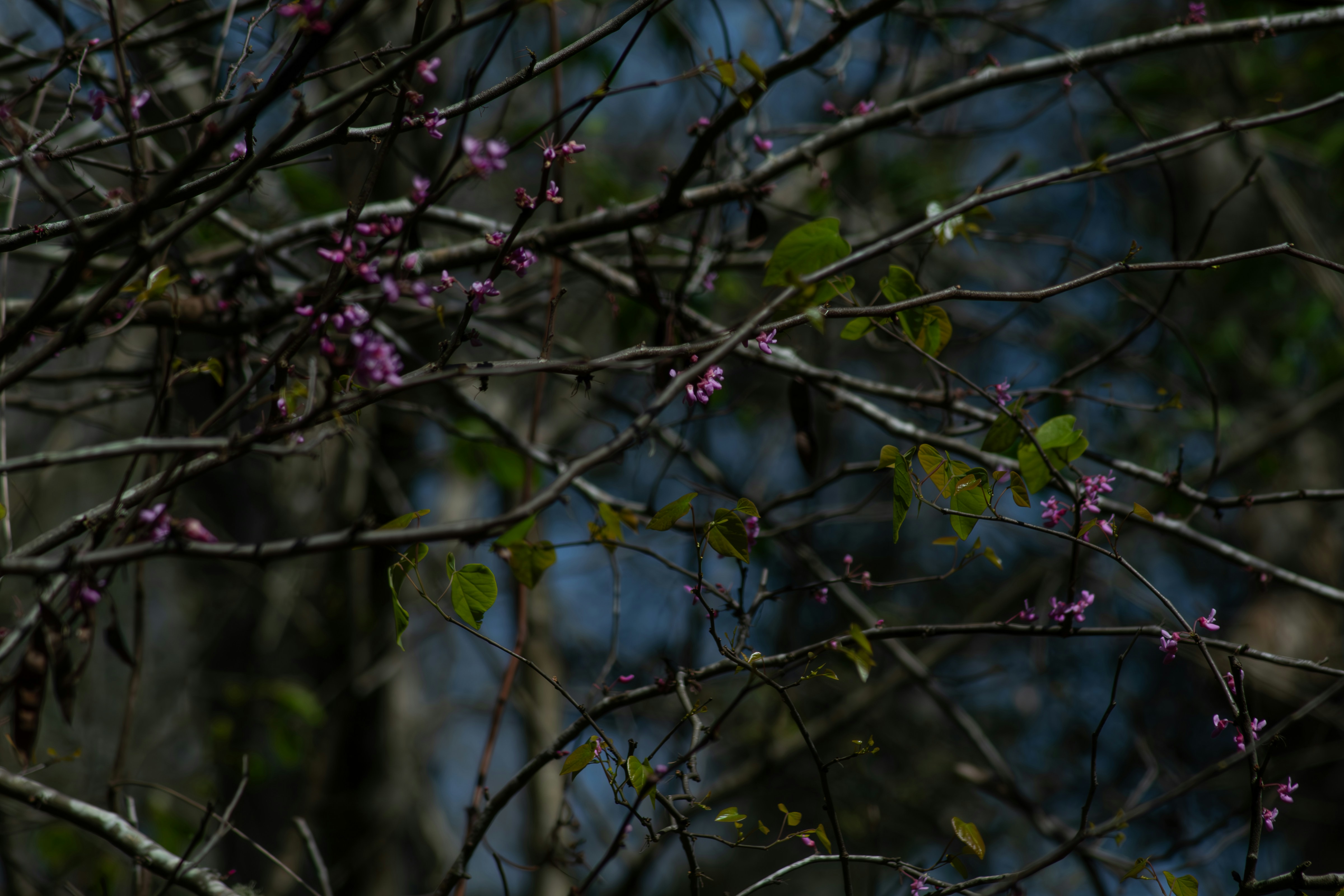 Photo by astro_civil