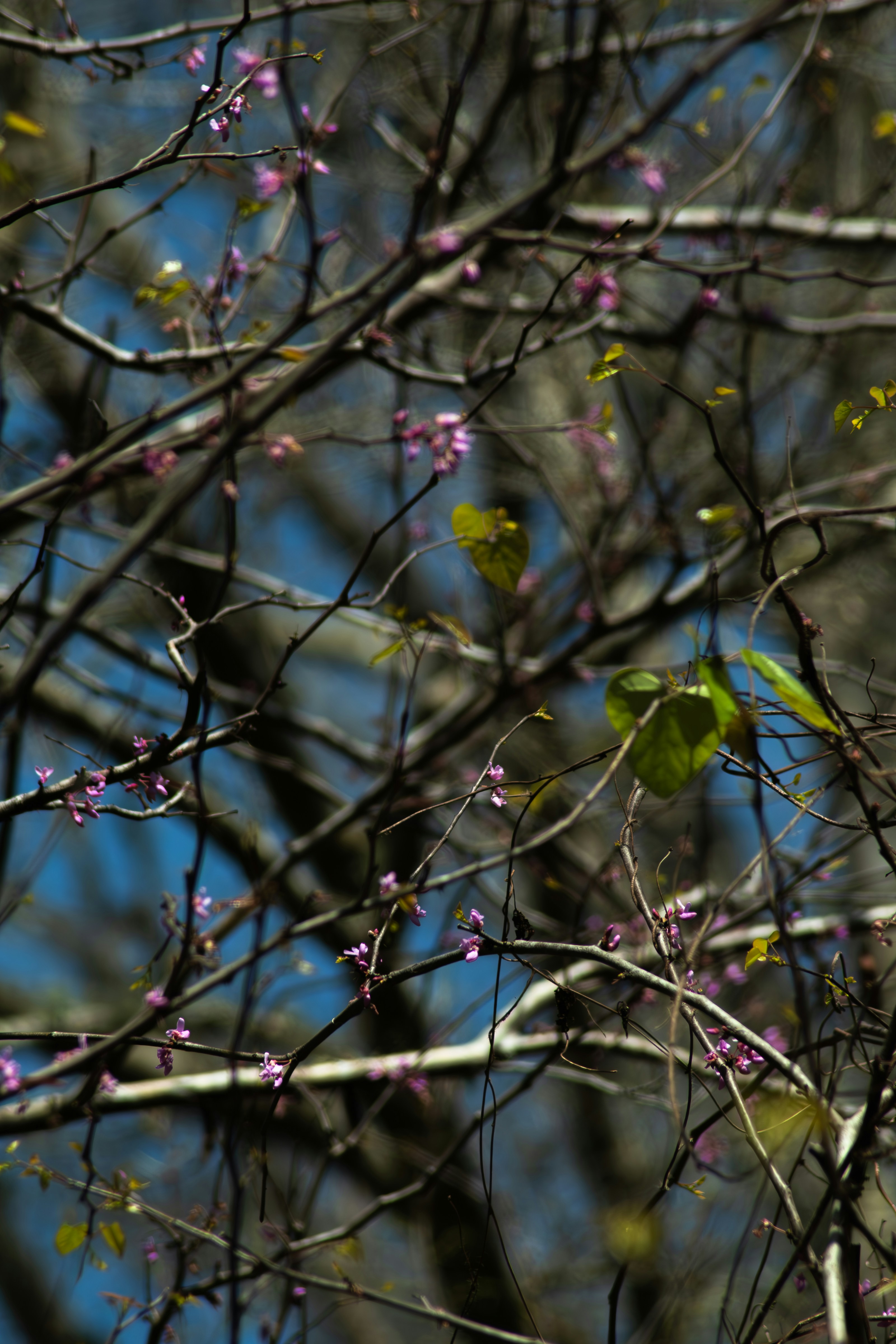 Photo by astro_civil