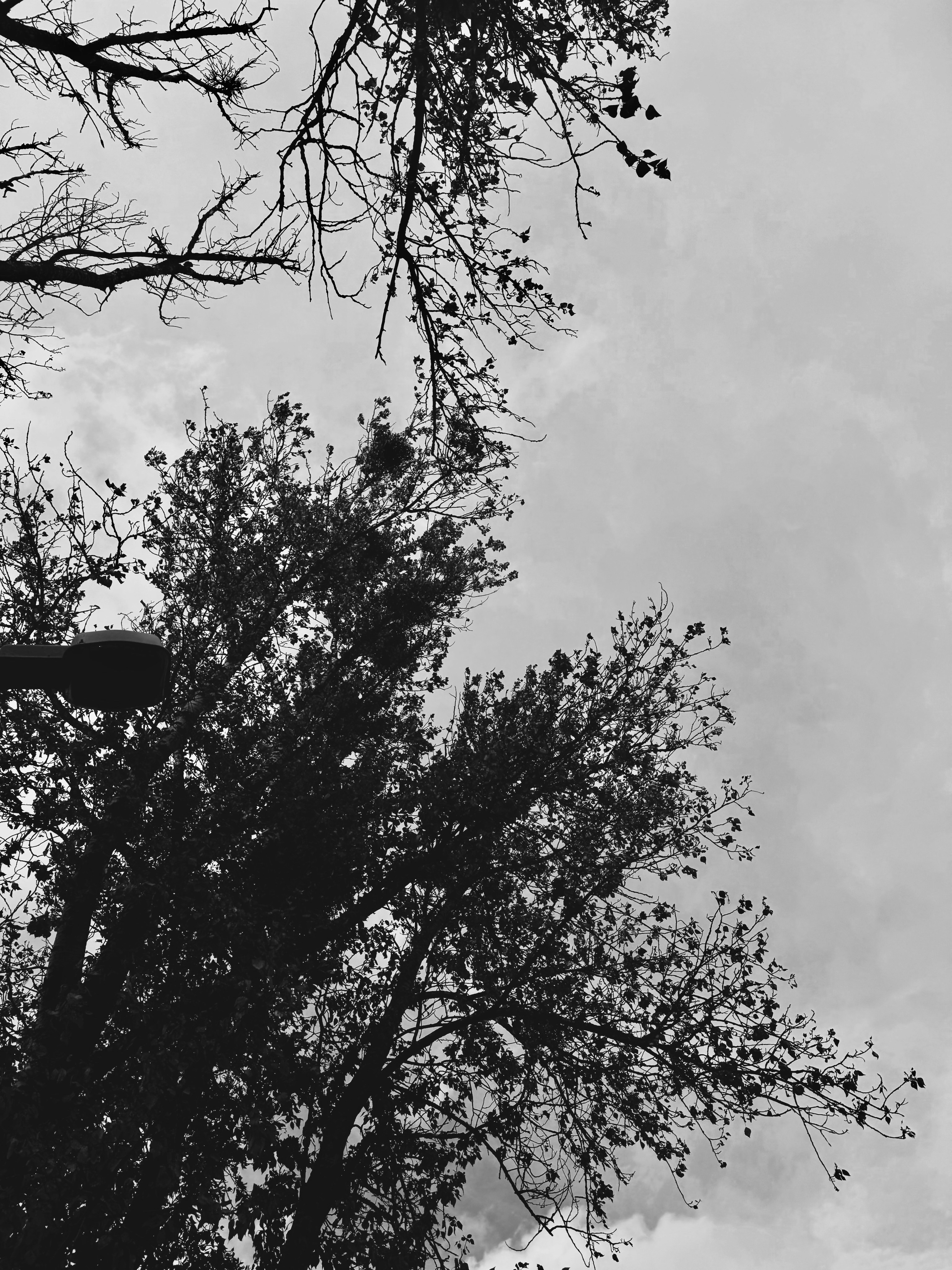 Photo by atherfinest