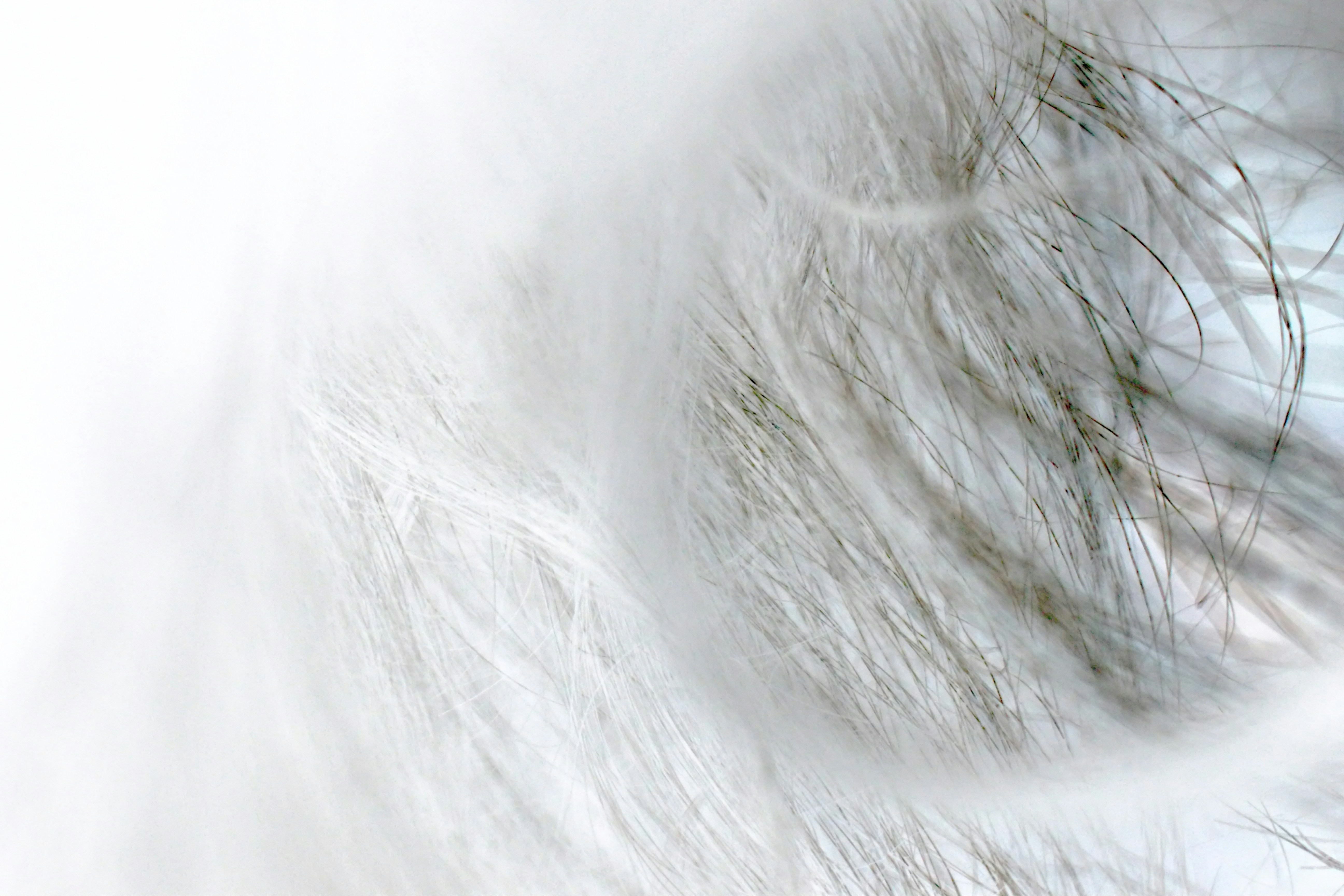 Scaling Creative Tests: From Micro-Experiments to Publisher Partnerships in 2026