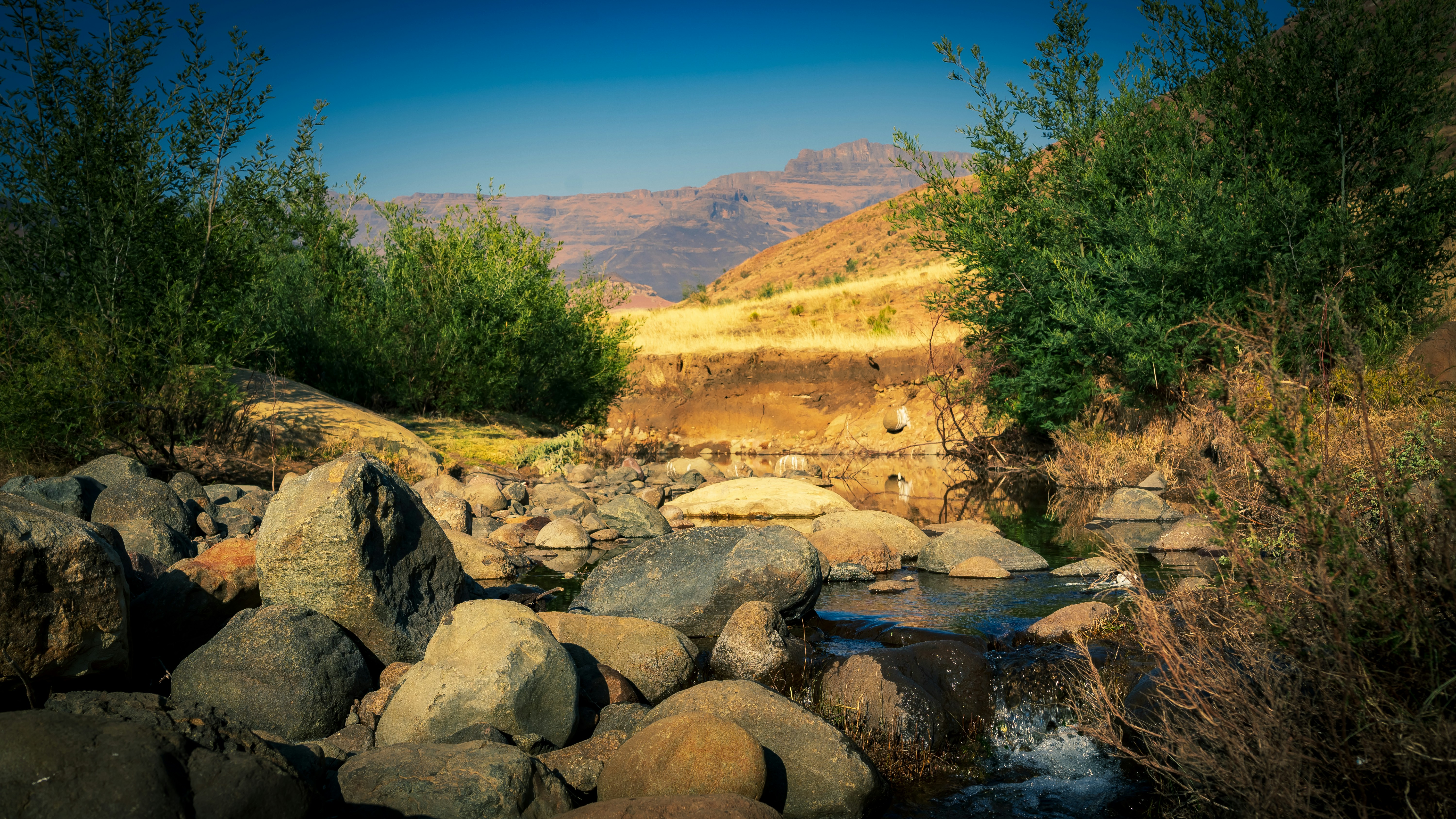 Photo by samsethuntsa