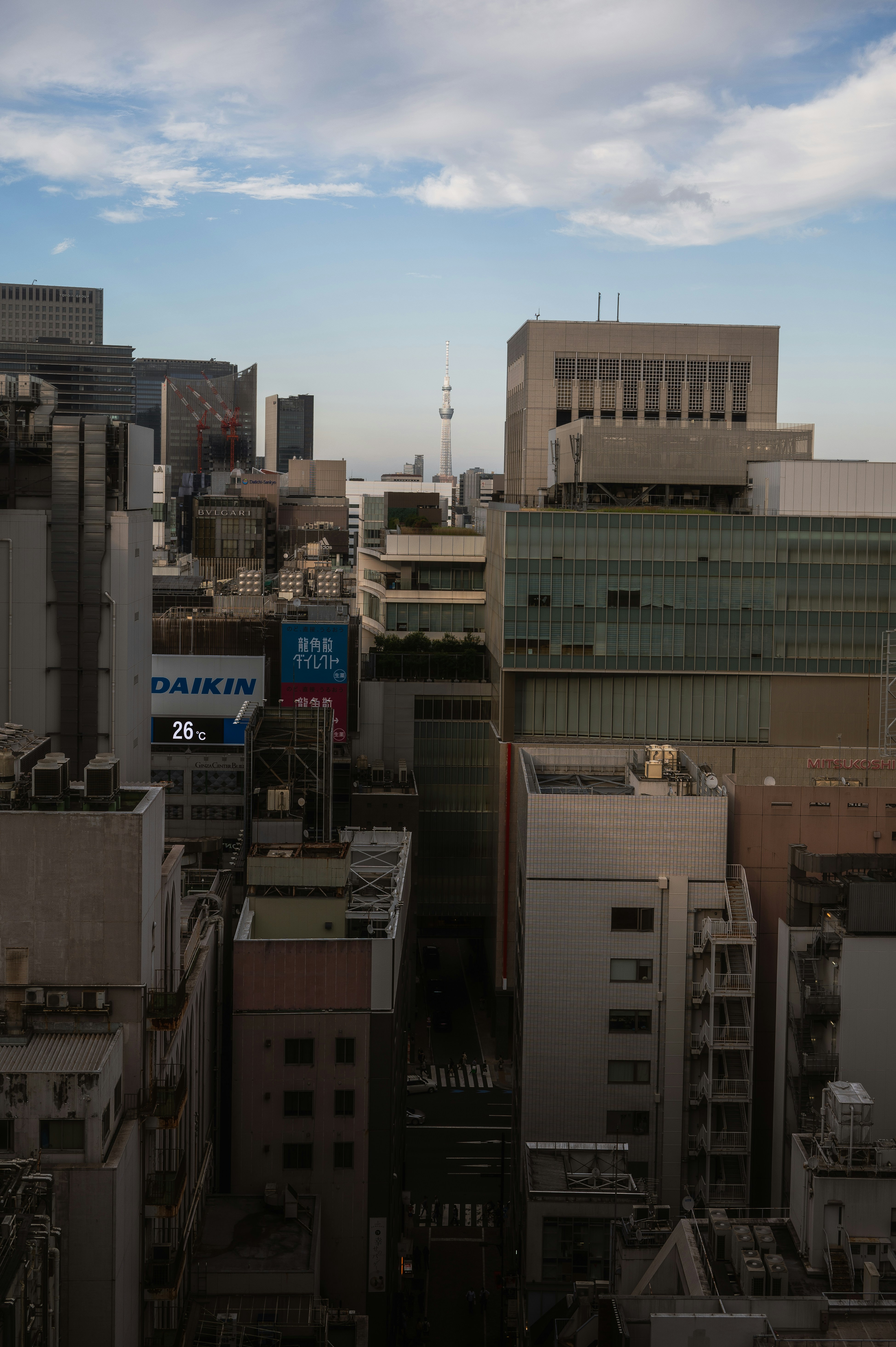 Photo by ryunosuke_kikuno