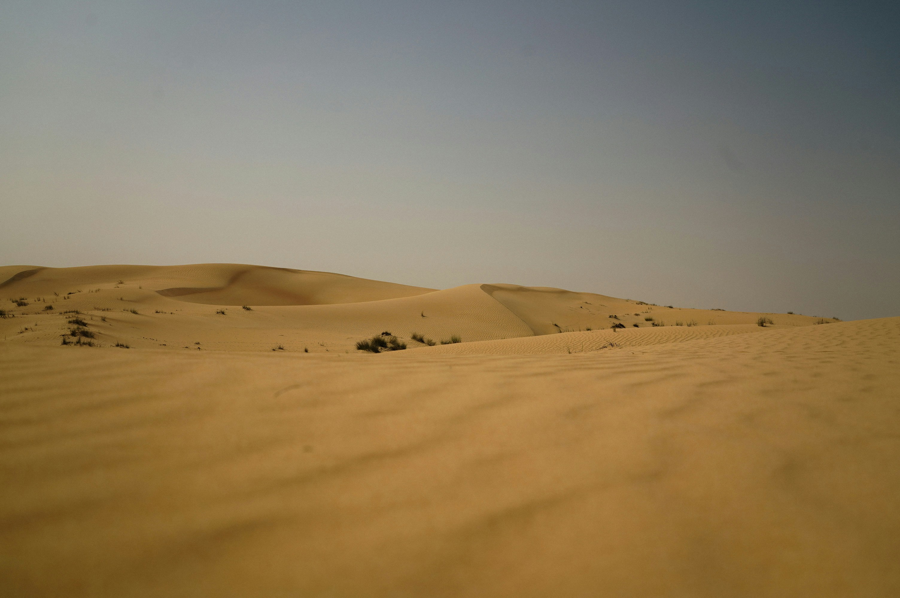 Photo by sophie_gerasimenko