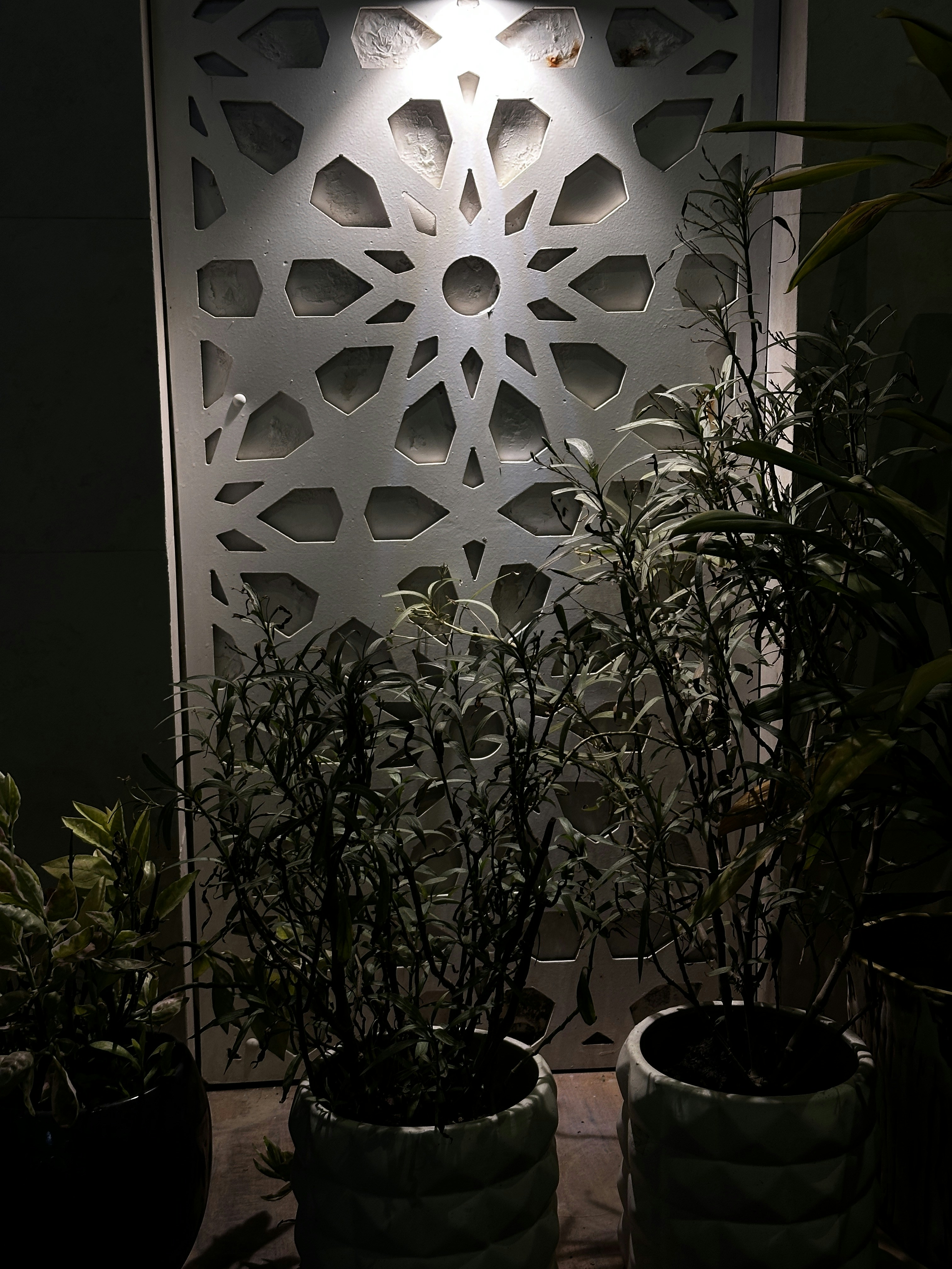 Elegant 3D Wall Panels