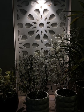 Decorative wall panel featuring geometric patterns with plants in pots placed in front, illuminated by a soft light from above.