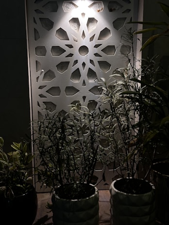 Decorative wall panel featuring geometric patterns with plants in pots placed in front, illuminated by a soft light from above.