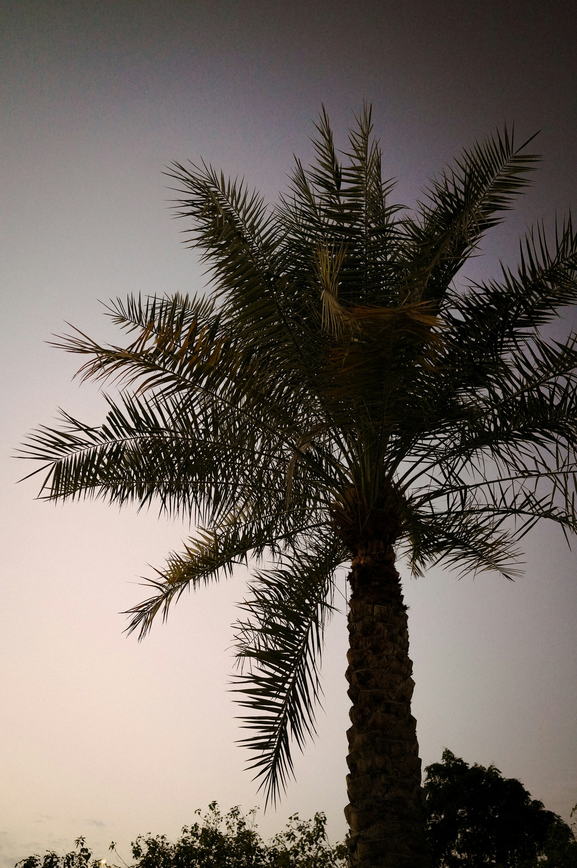 Photo by sophie_gerasimenko