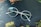 A pair of round eyeglasses with clear lenses and white frames rests on a dark surface. The background features decorative patterns of leaves and pine cones, displaying hints of green, brown, and orange colors.