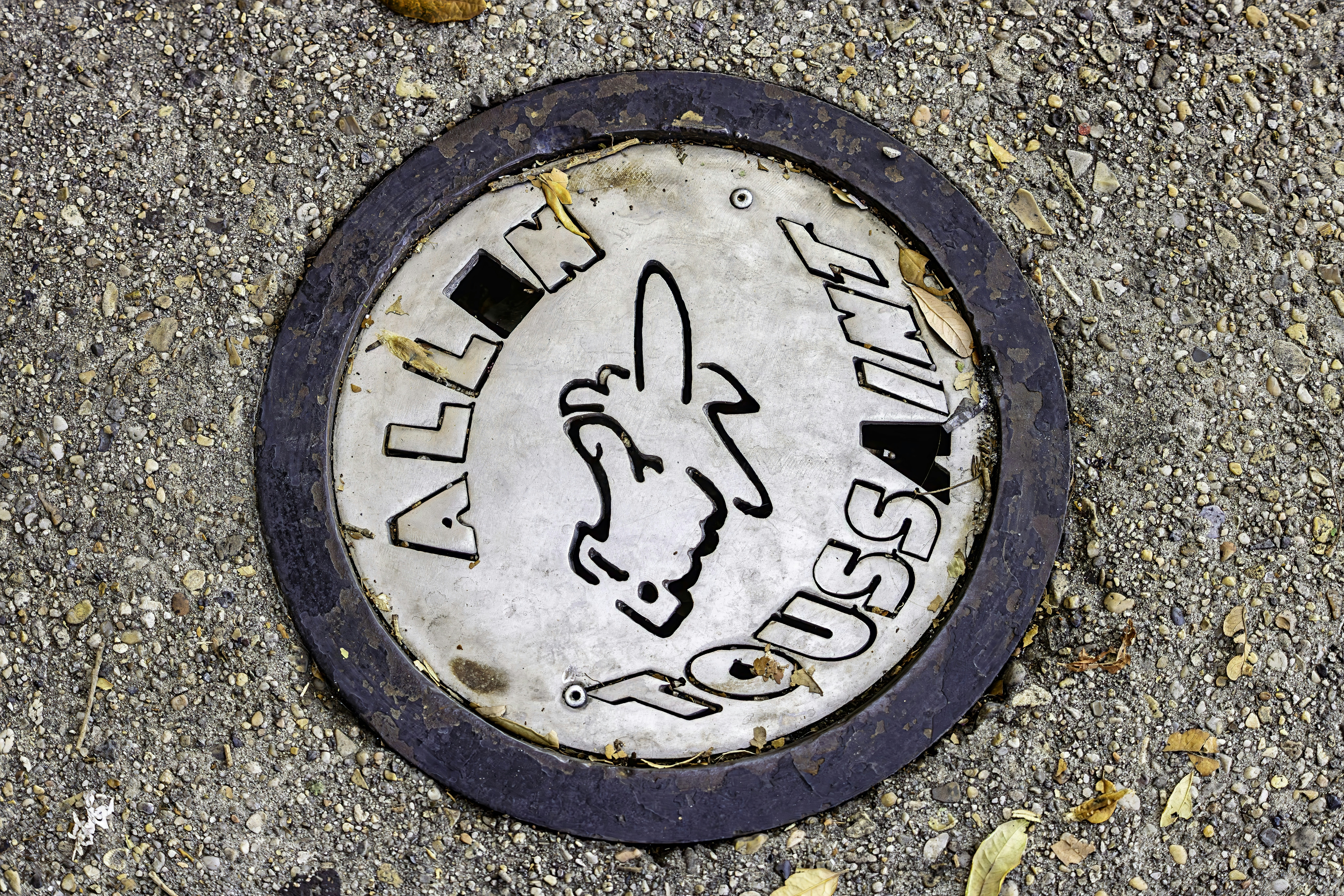a manhole cover with a picture of a rabbit on it