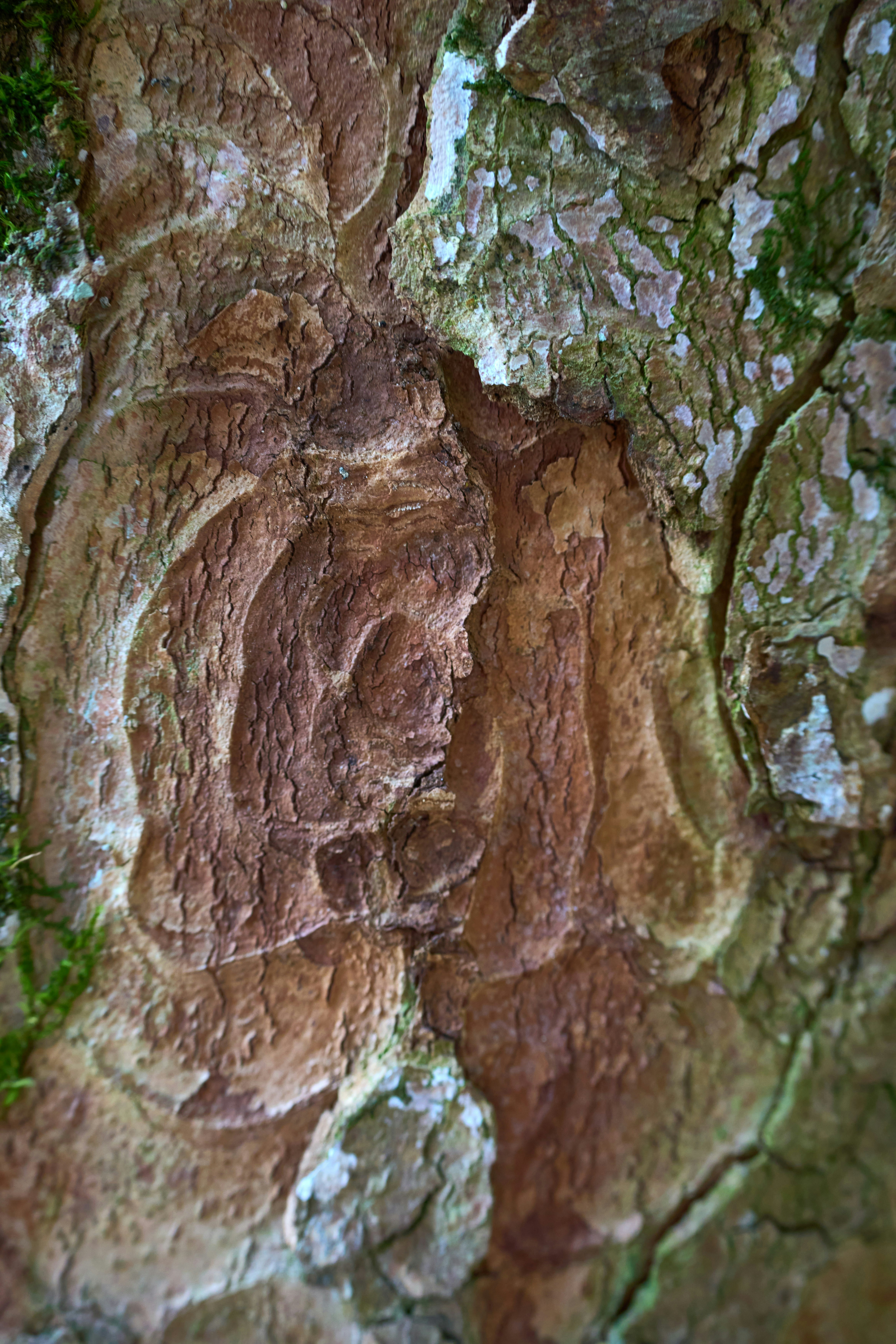 Photo by wolfgang_hasselmann