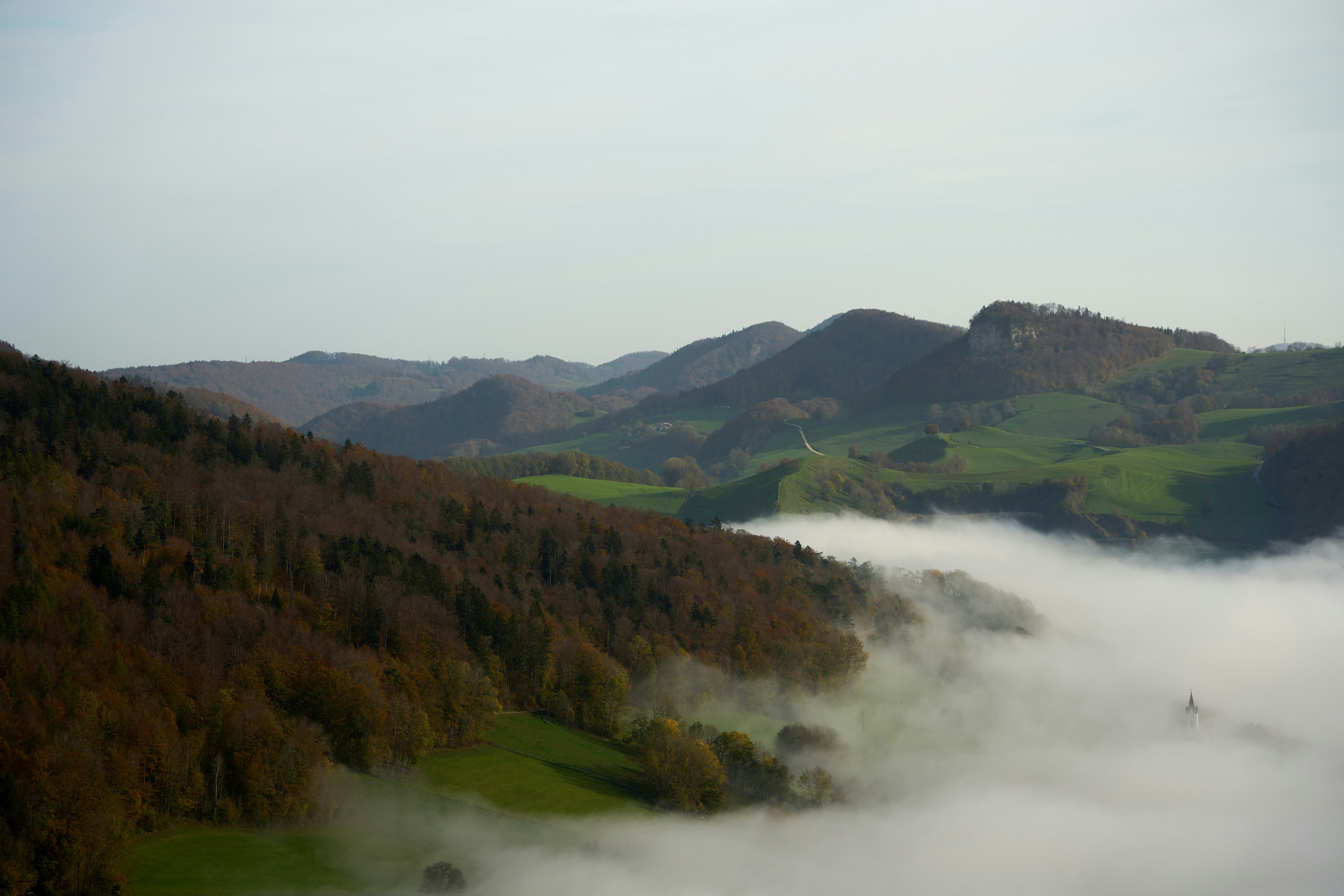 Photo by wolfgang_hasselmann