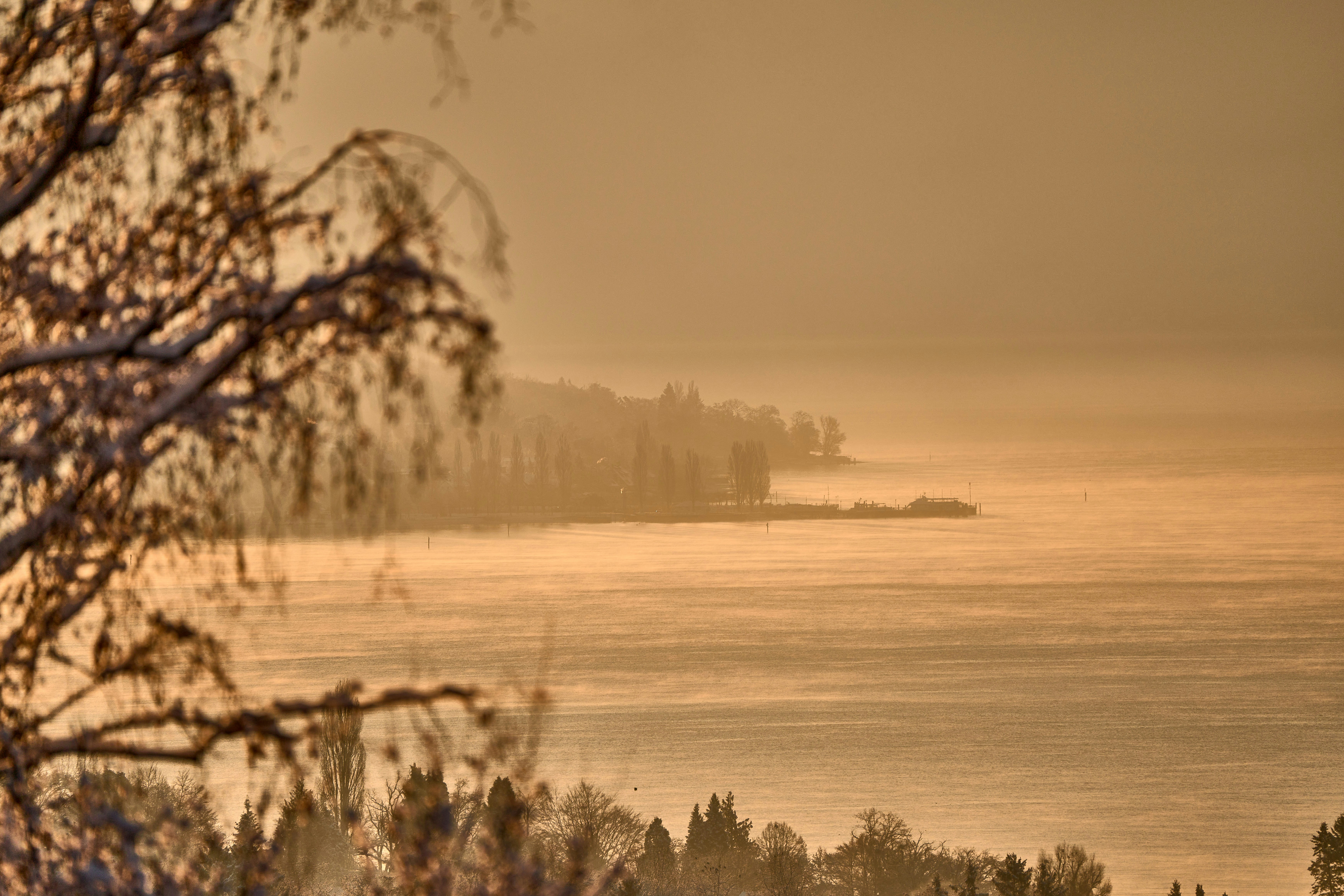 Photo by wolfgang_hasselmann