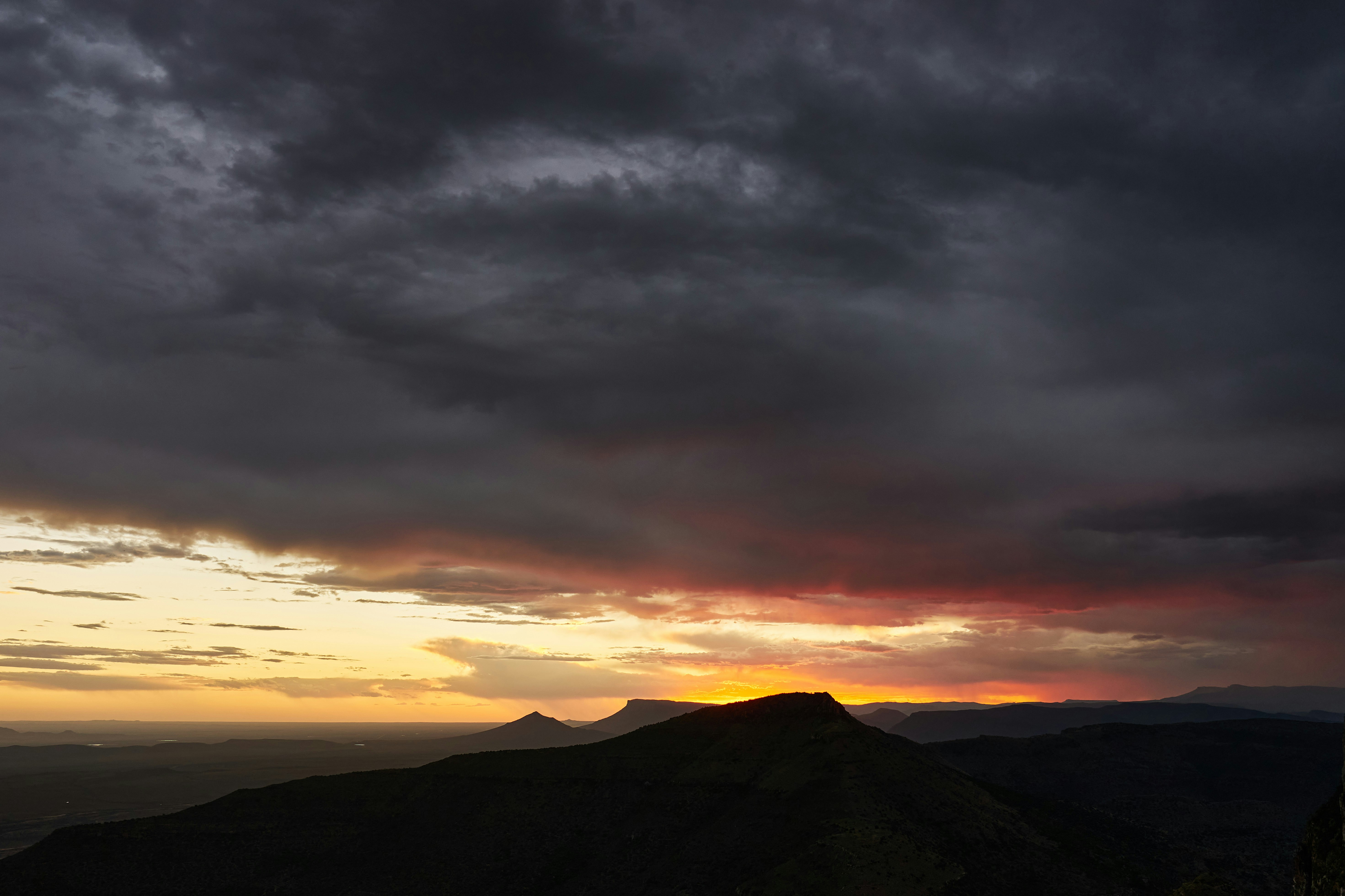 Photo by wolfgang_hasselmann