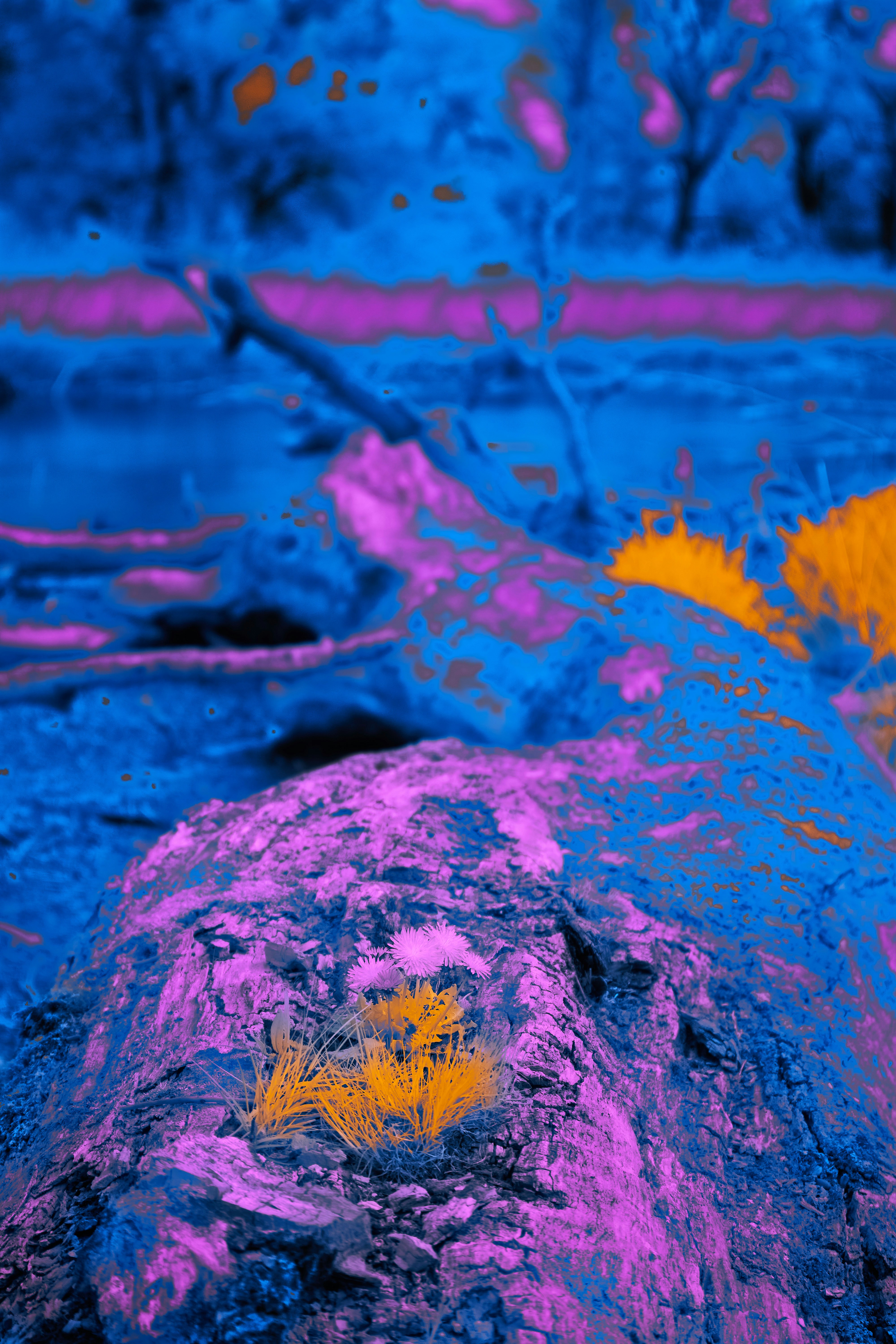 Photo by wolfgang_hasselmann