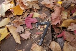 A metal number seven lies among a variety of autumn leaves scattered on a wooden surface. The leaves are in different stages of decay, displaying shades of yellow, red, pink, and brown, creating a rich tapestry of fall colors. The textured wooden background adds a rustic feel to the scene.