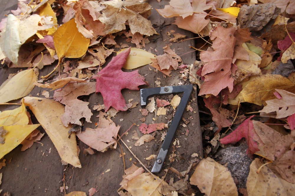 a pair of pliers laying on the ground surrounded by leaves