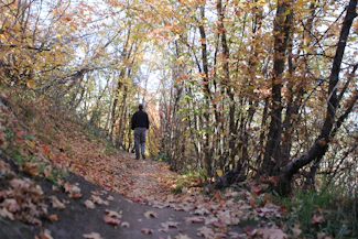 A veteran walking thoughtfully along a wooded trail, surrounded by autumn leaves.