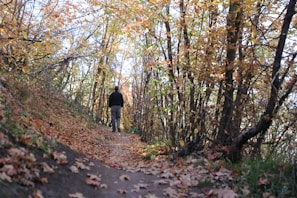 A person walking along a tree-lined path during autumn with colorful leaves.