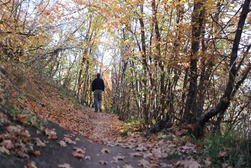 a man is walking down a path in the woods