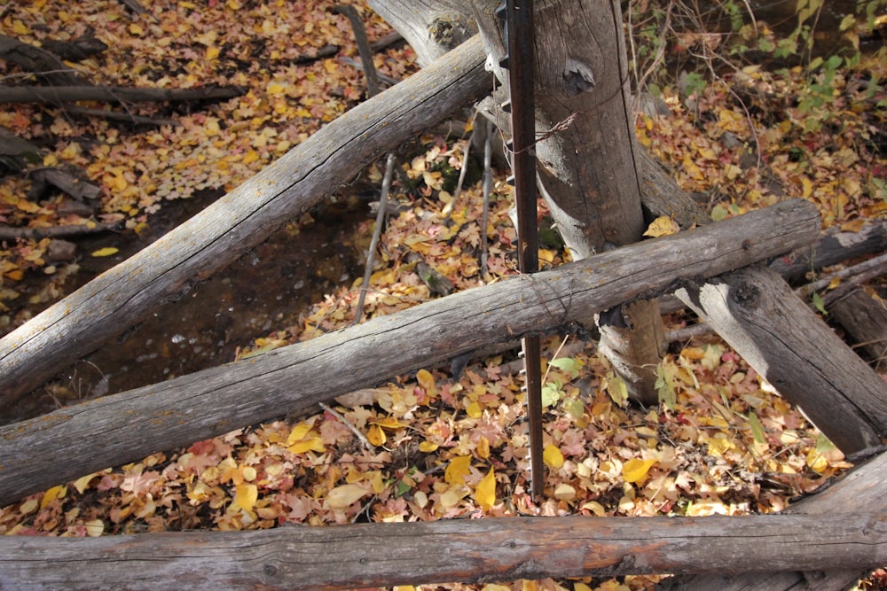 a pile of fallen leaves next to a wooden fence