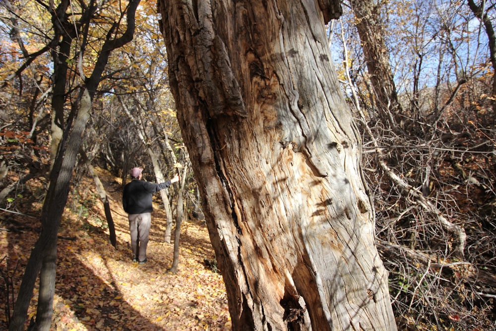 a person walking on a trail in the woods