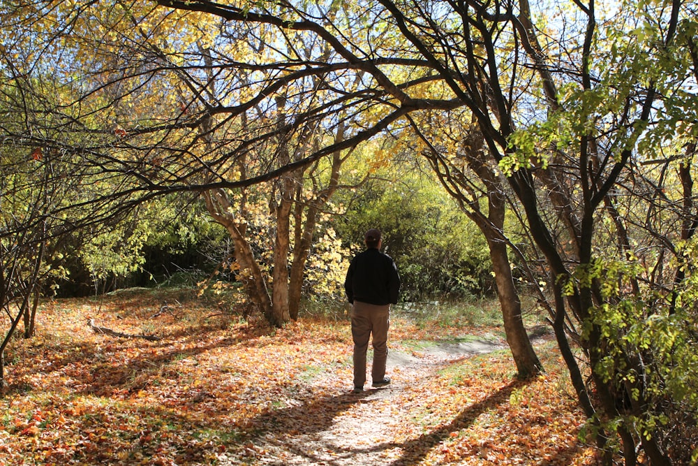 a man walking through a forest filled with lots of trees