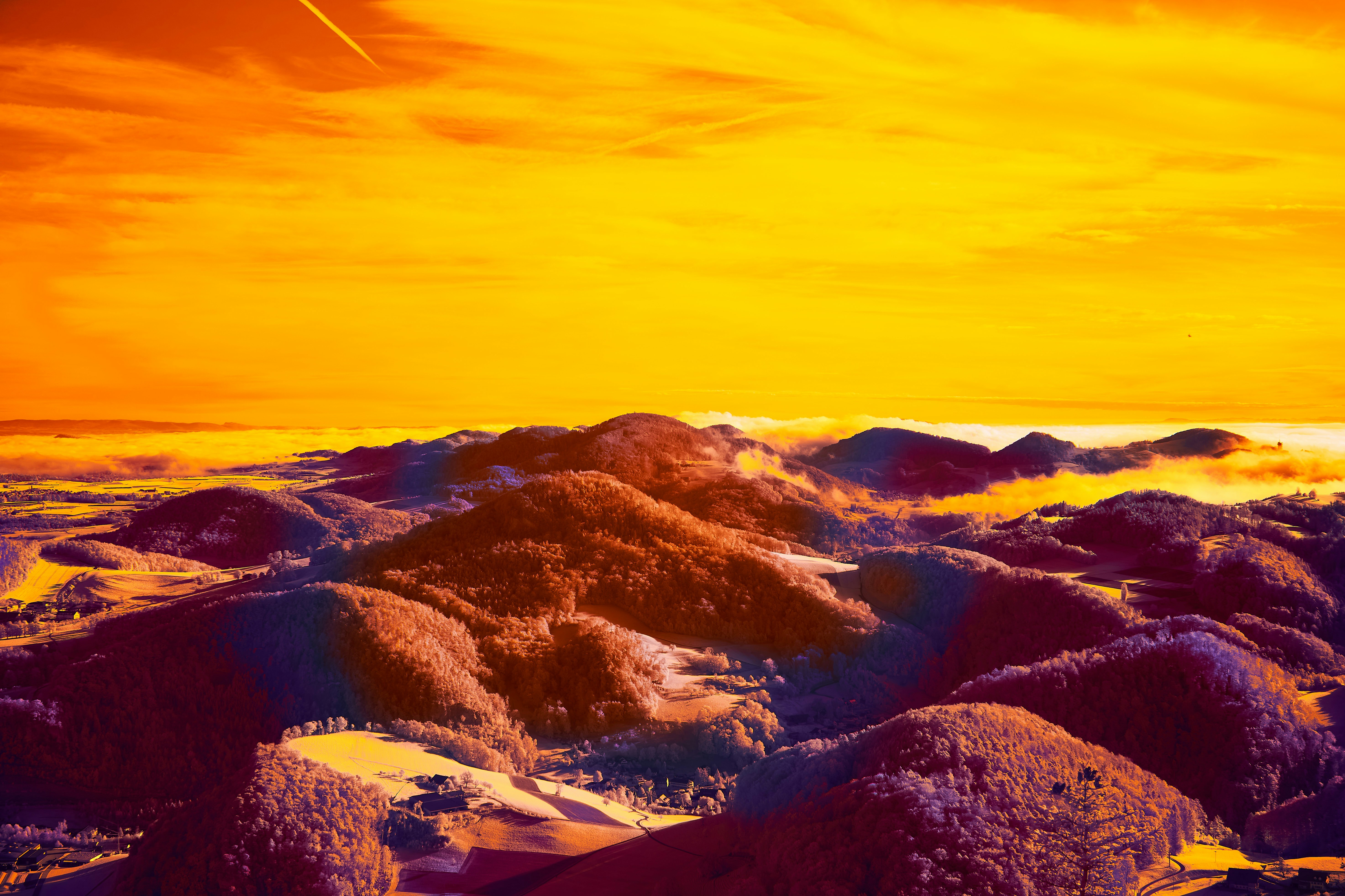 Photo by wolfgang_hasselmann